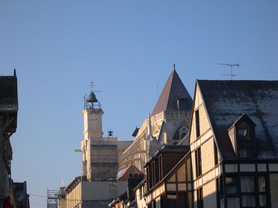  cloche